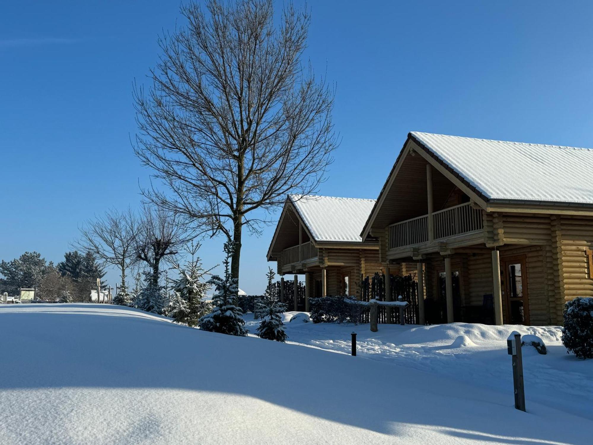 Boomstamhuis High Chaparral Oorsbeek エクステリア 写真